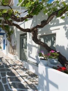 Whitewashed Buildings