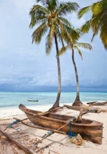 Boat and palm trees on Zanzibar Beach