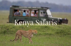 kenya vehivle safaris