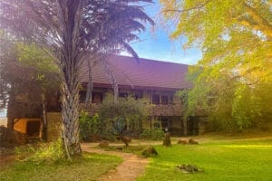 Safari lodge surrounded by lush greenery in Africa