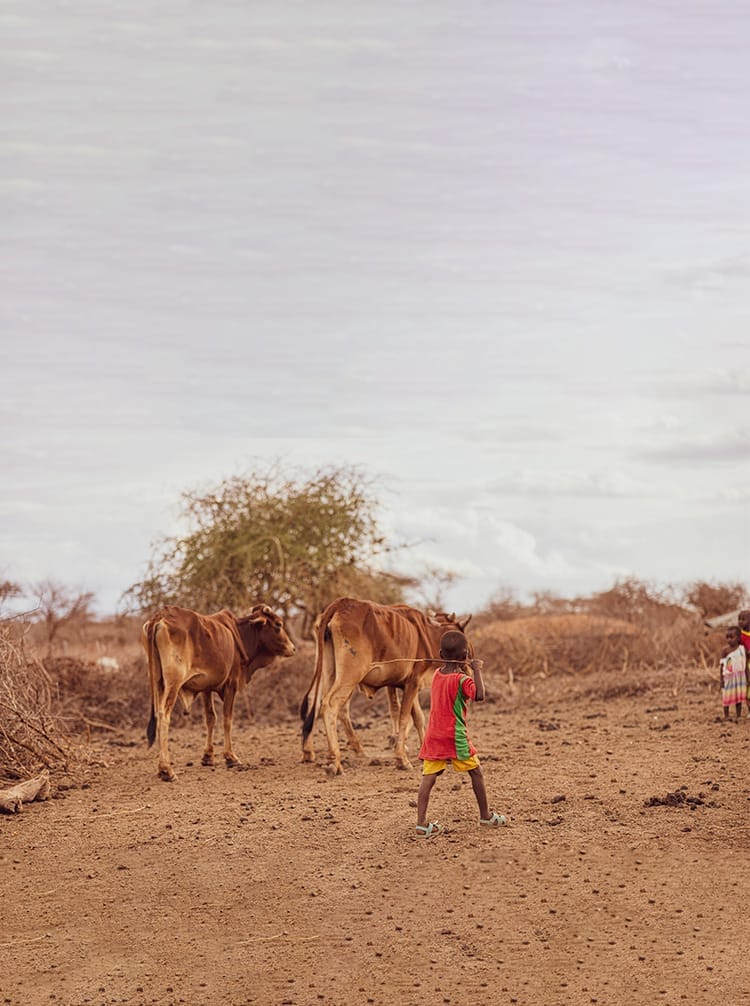ESSENCEOFKENYA | Gamewatchers Safaris