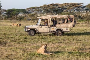 Safari jeep with tourists watching lions in the African savannah during a wildlife game drive