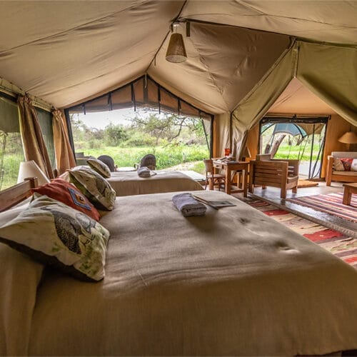 Luxury safari tent interior with twin beds, rustic wooden furniture, and outdoor views of African wilderness