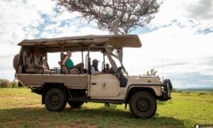 Tourists on a guided safari game drive in open 4x4 vehicle in Masai Mara, Kenya