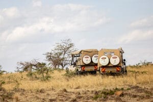 Two safari vehicles driving through dry grassland in Africa