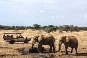 Safari vehicle watching elephants drinking water in African savannah