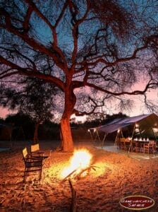 Campfire at sunset under a large tree with safari tents and dining setup in the background, Gamewatchers Safaris