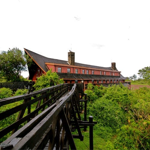 Wooden walkway leading to safari lodge in Kenya