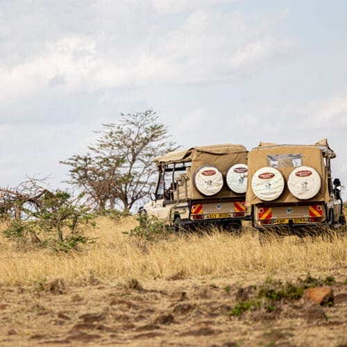 Two safari vehicles from Gamewatchers Safaris driving across dry grasslands in Kenya