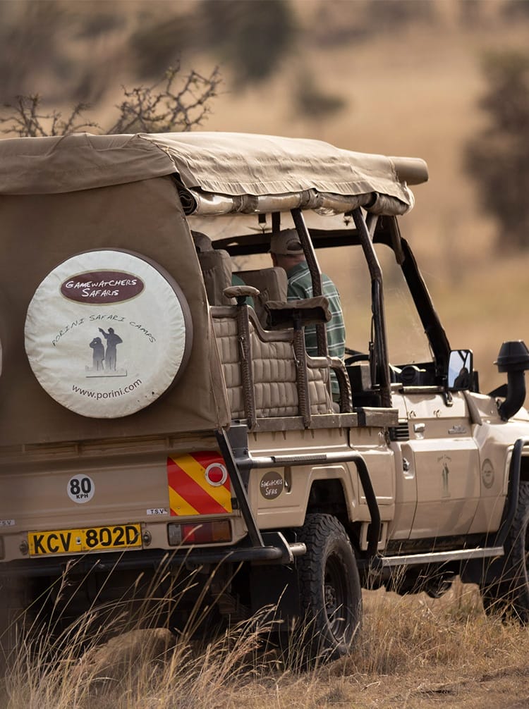 familymain | Gamewatchers Safaris