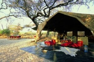 Luxury safari lounge tent with outdoor dining setup under acacia trees in Kenya