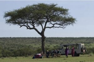Safari picnic under an acacia tree with tourists and guides beside a safari vehicle in the African savannah