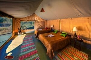 Spacious safari tent with twin beds and rustic decor in Kenyan wilderness
