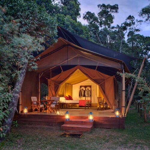 gallerysamburu | Gamewatchers Safaris Luxury glamping tent with wooden deck, lanterns, and forest surroundings at dusk