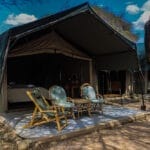 kenyaspecialsafarigallery2