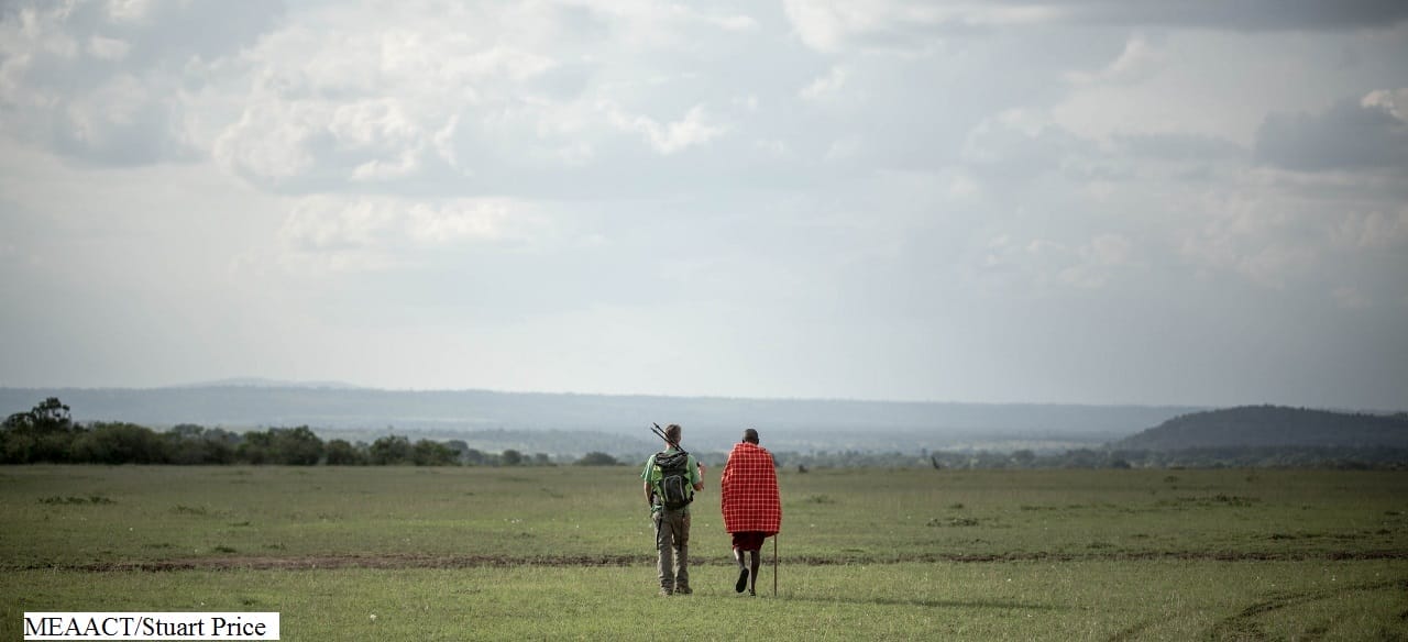 Tourist and Maasai guide walking on African savannah