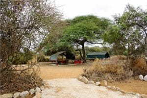 Bush campsite with safari tents and outdoor dining area under acacia trees in Kenya wilderness