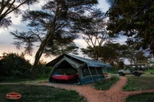 Luxury safari tent with dining setup in the wilderness, surrounded by acacia trees and safari vehicle at sunset