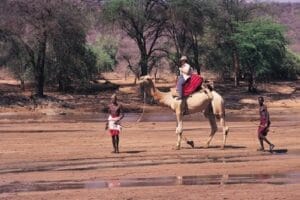Camel safari in Kenya guided by Samburu tribesmen across a dry riverbed