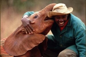 Wildlife caretaker hugging a baby elephant at an animal sanctuary in Kenya