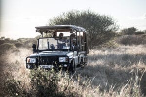 Safari vehicle with tourists on a guided game drive through African wilderness