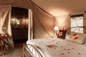 Romantic safari tent with double bed, bedside lamps, and en-suite bathroom decorated with rose petals