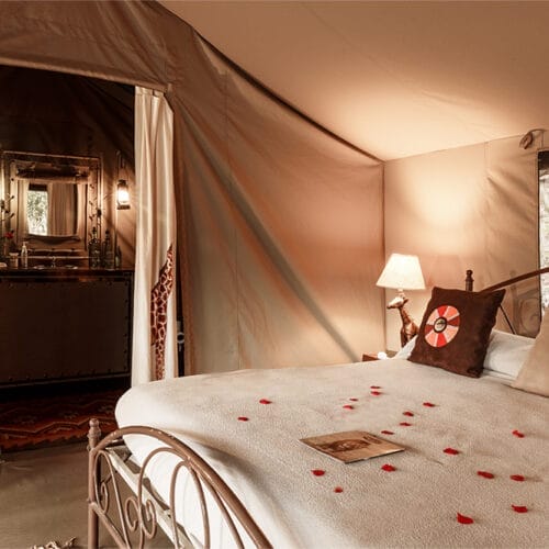 splendourgallery3 | Gamewatchers Safaris Romantic safari tent with double bed, bedside lamps, and en-suite bathroom decorated with rose petals