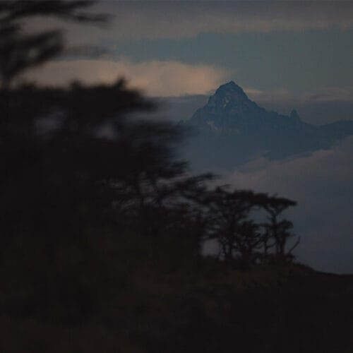 spplendourgallery | Gamewatchers Safaris Mount Kenya peak emerging through clouds at dusk with silhouette of acacia trees in foreground