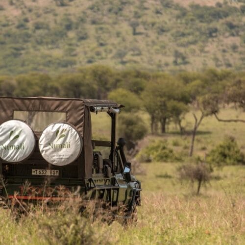 25 | Gamewatchers Safaris