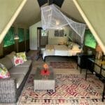 3._wqodlands_tent1