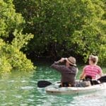 Anjajavy mangroves (Philippe Claudel) (1)