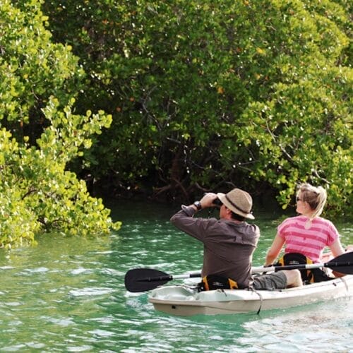 Anjajavy mangroves (Philippe Claudel) (1) | Gamewatchers Safaris