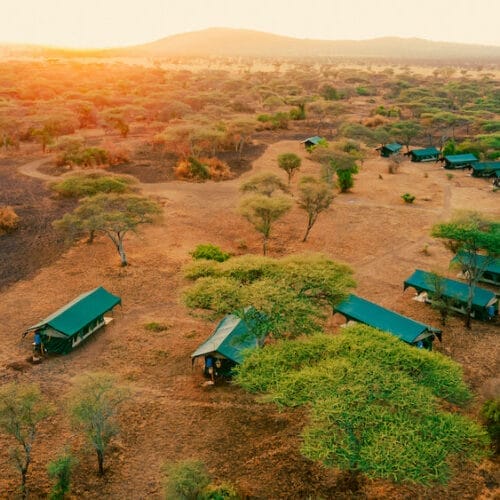 DJI_0140 | Gamewatchers Safaris