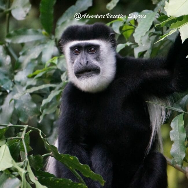 DSC05734_Fotor-scaled