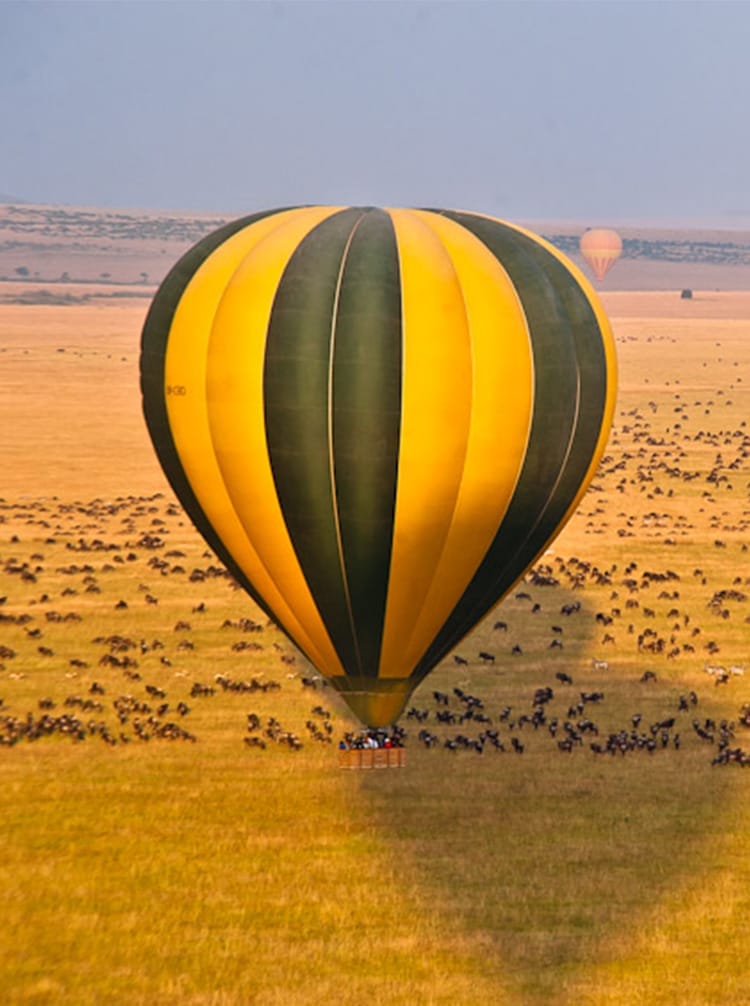 FEATURED-Recoveredmcf