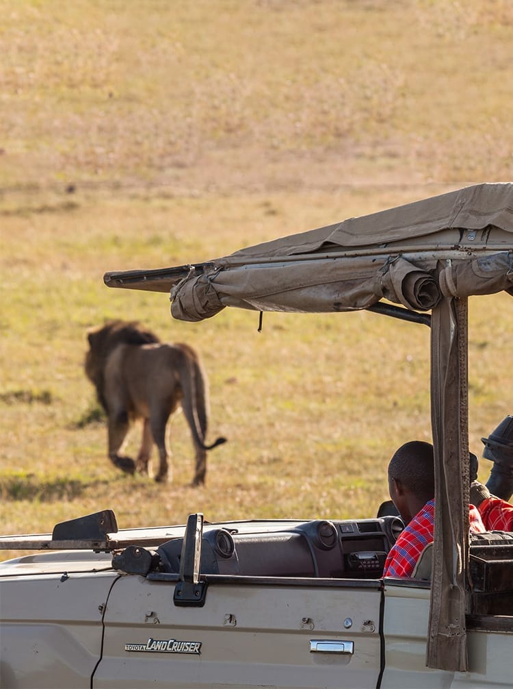 FEATUREDtanken | Gamewatchers Safaris