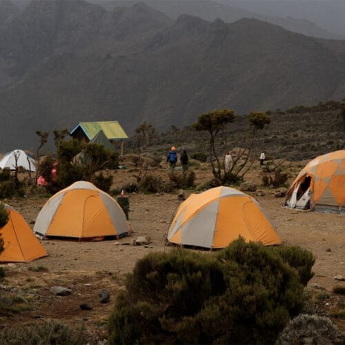 GALLERY-Recoveredmtkenya | Gamewatchers Safaris