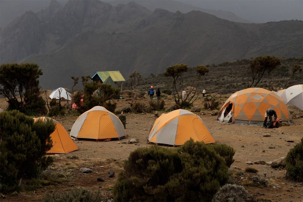 GALLERY-Recoveredmtkenya