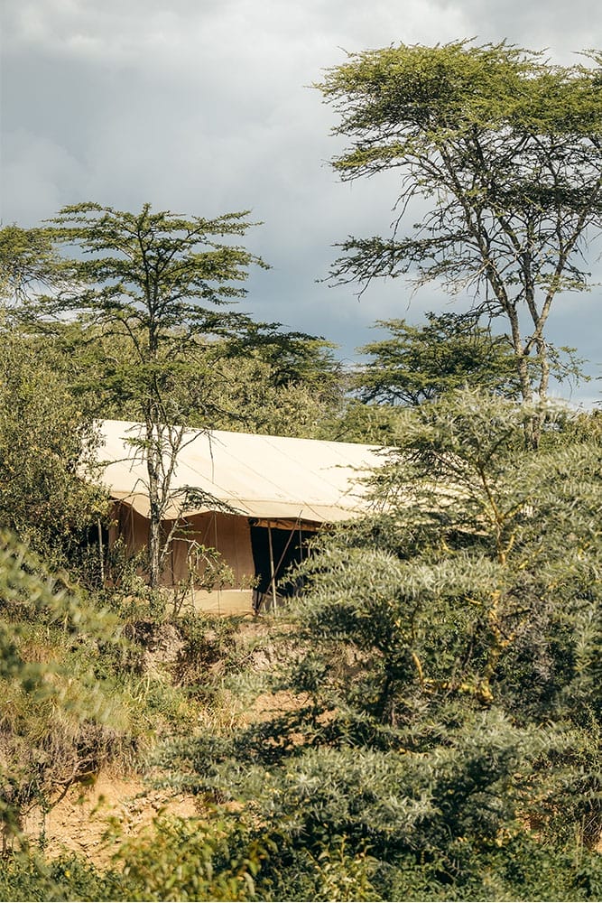 MARACONSERVANCYGLLERY