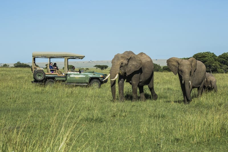 MaraPlainsCamp-Safari-Experience-GreatPlainsConservation-19