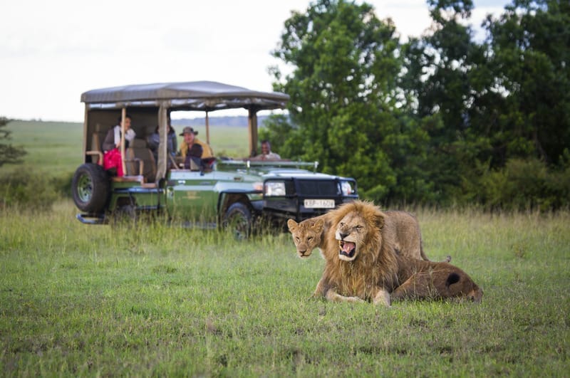 MaraPlainsCamp-Safari-Experience-GreatPlainsConservation-21