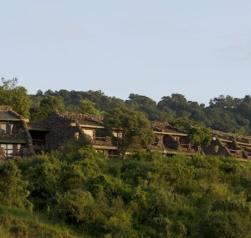 SerenaNgorongoro-6 | Gamewatchers Safaris