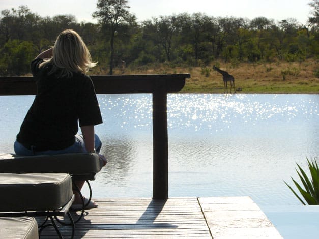 arathusa-safari-lodge-gallery-image-10-1421684705