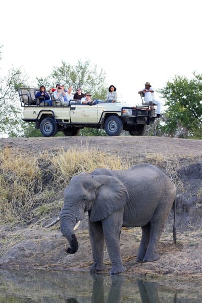 arathusa-safari-lodge-gallery-image-3-1421684687