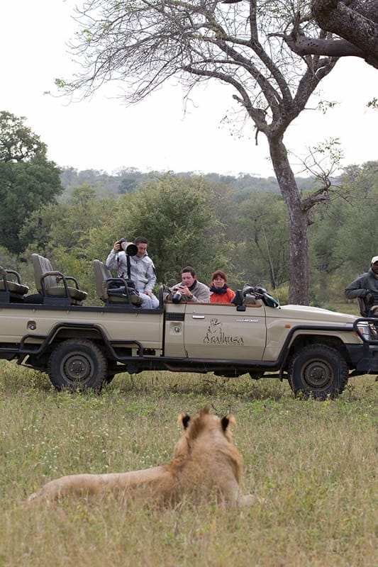 arathusa-safari-lodge-gallery-image-32-1421684749