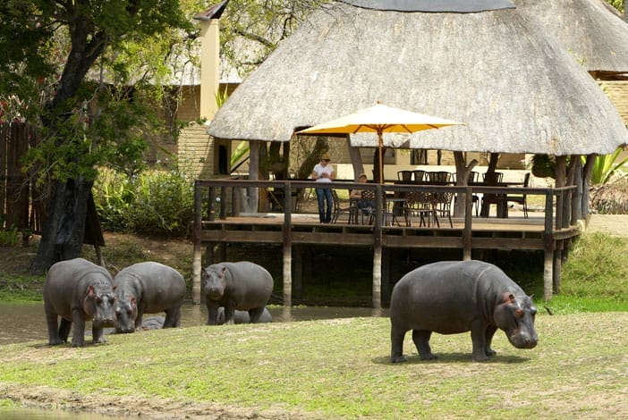 arathusa-safari-lodge-gallery-image-9-1421684703