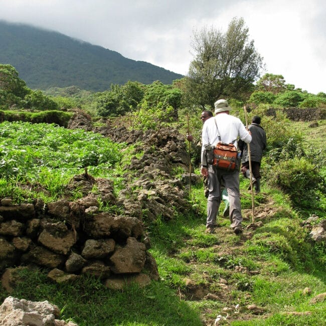 batwa-trail-mgnp_-scaled