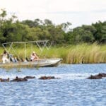 camp-moremi-boat-safari2