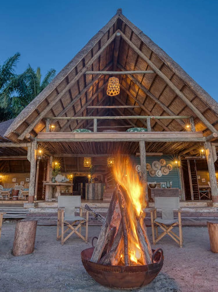 chimp | Gamewatchers Safaris Firepit