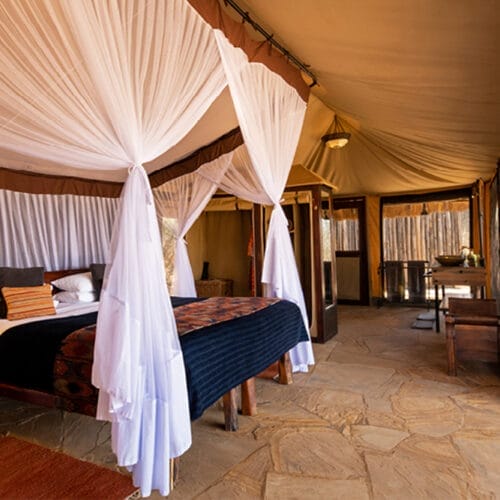 gallery-luxury3 | Gamewatchers Safaris